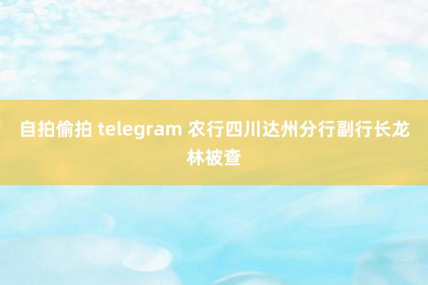 自拍偷拍 telegram 农行四川达州分行副行长龙林被查