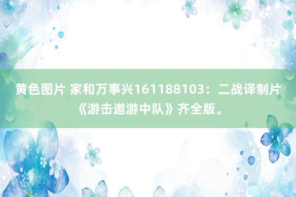 黄色图片 家和万事兴161188103：二战译制片《游击遨游中队》齐全版。