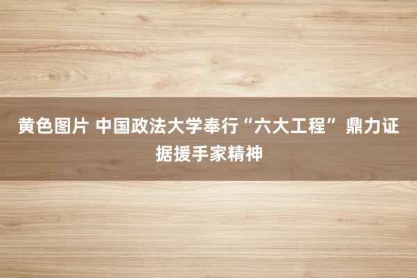 黄色图片 中国政法大学奉行“六大工程” 鼎力证据援手家精神