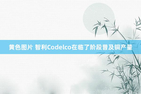 黄色图片 智利Codelco在临了阶段普及铜产量