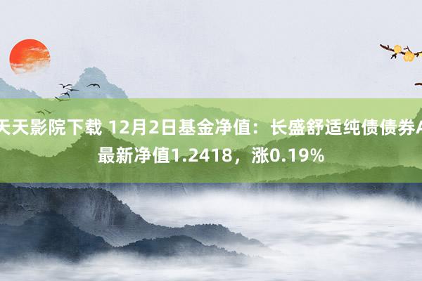 天天影院下载 12月2日基金净值：长盛舒适纯债债券A最新净值1.2418，涨0.19%