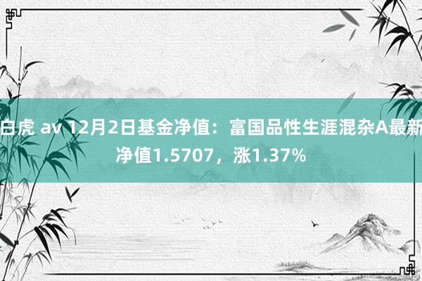 白虎 av 12月2日基金净值：富国品性生涯混杂A最新净值1.5707，涨1.37%