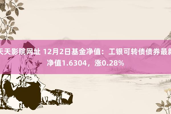 天天影院网址 12月2日基金净值：工银可转债债券最新净值1.6304，涨0.28%