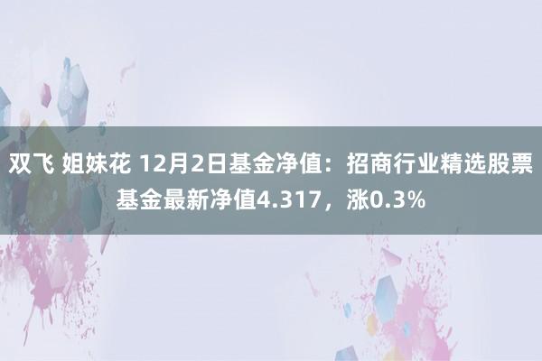 双飞 姐妹花 12月2日基金净值：招商行业精选股票基金最新净值4.317，涨0.3%