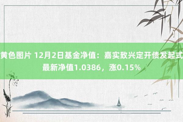 黄色图片 12月2日基金净值：嘉实致兴定开债发起式最新净值1.0386，涨0.15%