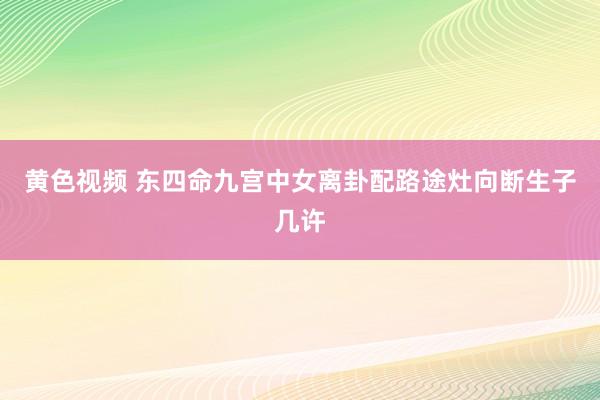 黄色视频 东四命九宫中女离卦配路途灶向断生子几许