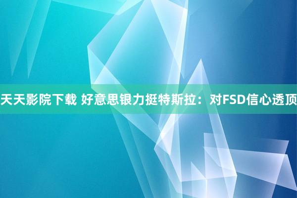 天天影院下载 好意思银力挺特斯拉：对FSD信心透顶