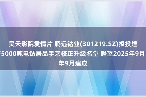 昊天影院爱情片 腾远钴业(301219.SZ)拟投建年产5000吨电钴居品手艺校正升级名堂 瞻望20