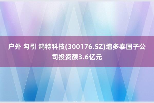 户外 勾引 鸿特科技(300176.SZ)增多泰国子公司投资额3.6亿元