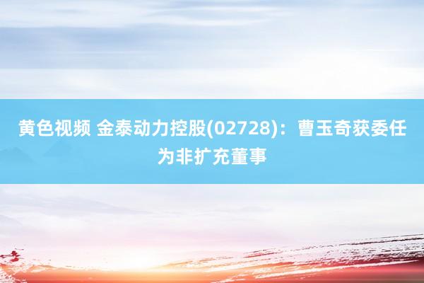 黄色视频 金泰动力控股(02728)：曹玉奇获委任为非扩充董事