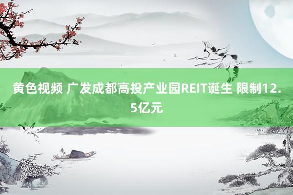 黄色视频 广发成都高投产业园REIT诞生 限制12.5亿元