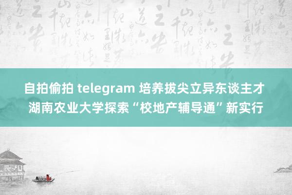 自拍偷拍 telegram 培养拔尖立异东谈主才 湖南农业大学探索“校地产辅导通”新实行