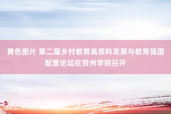 黄色图片 第二届乡村教育高质料发展与教育强国配置论坛在贺州学院召开