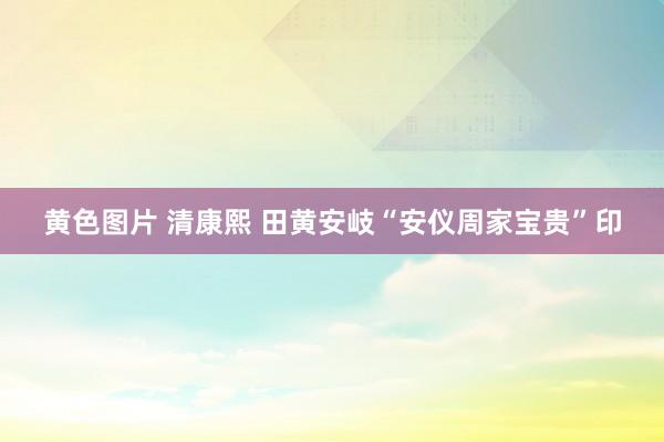 黄色图片 清康熙 田黄安岐“安仪周家宝贵”印