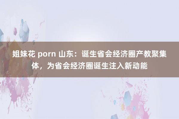 姐妹花 porn 山东：诞生省会经济圈产教聚集体，为省会经济圈诞生注入新动能