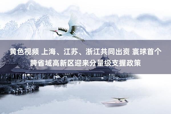 黄色视频 上海、江苏、浙江共同出资 寰球首个跨省域高新区迎来分量级支握政策