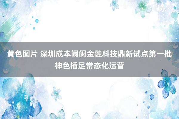 黄色图片 深圳成本阛阓金融科技鼎新试点第一批神色插足常态化运营