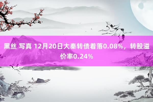 黑丝 写真 12月20日大秦转债着落0.08%，转股溢价率0.24%