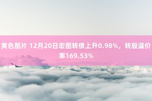 黄色图片 12月20日宏图转债上升0.98%，转股溢价率169.53%