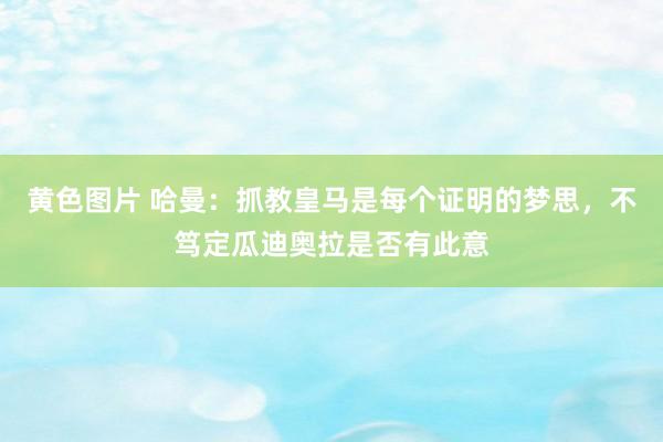 黄色图片 哈曼：抓教皇马是每个证明的梦思，不笃定瓜迪奥拉是否有此意