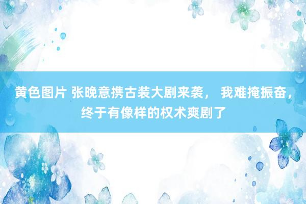 黄色图片 张晚意携古装大剧来袭， 我难掩振奋，终于有像样的权术爽剧了