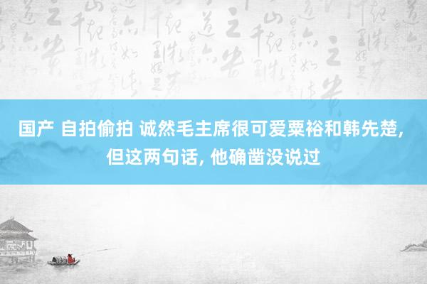 国产 自拍偷拍 诚然毛主席很可爱粟裕和韩先楚, 但这两句话, 他确凿没说过