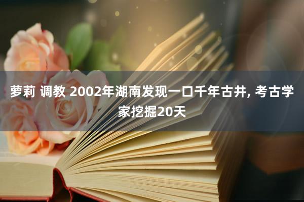 萝莉 调教 2002年湖南发现一口千年古井, 考古学家挖掘20天