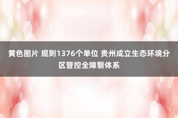 黄色图片 规则1376个单位 贵州成立生态环境分区管控全障翳体系