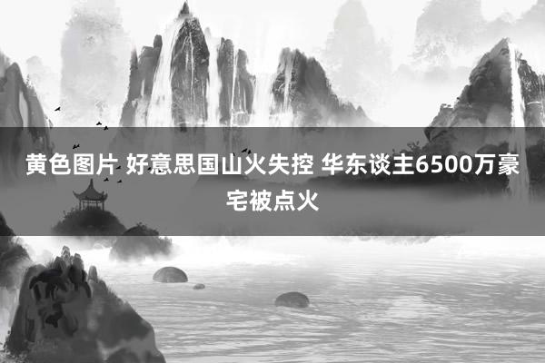 黄色图片 好意思国山火失控 华东谈主6500万豪宅被点火