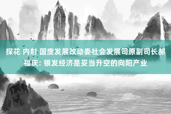 探花 内射 国度发展改动委社会发展司原副司长郝福庆: 银发经济是妥当升空的向阳产业